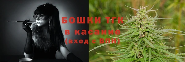 стафф Елизово