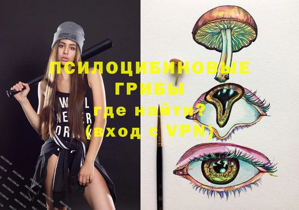 винт Елабуга