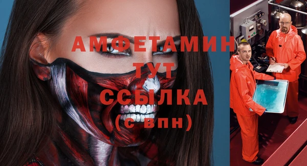 стафф Елизово