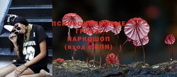 винт Елабуга