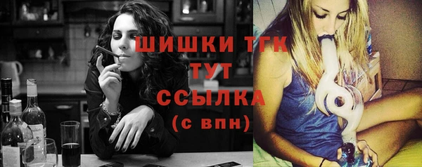 стафф Елизово