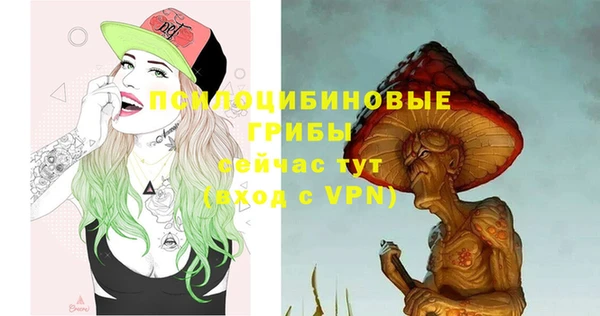 гашиш Ельня