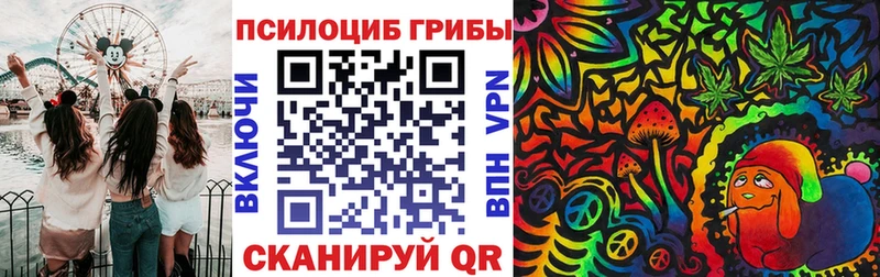 Псилоцибиновые грибы мицелий  Мариинский Посад 